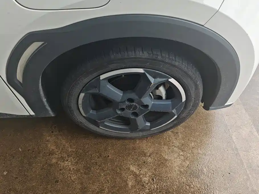 BYD Seagull 2024