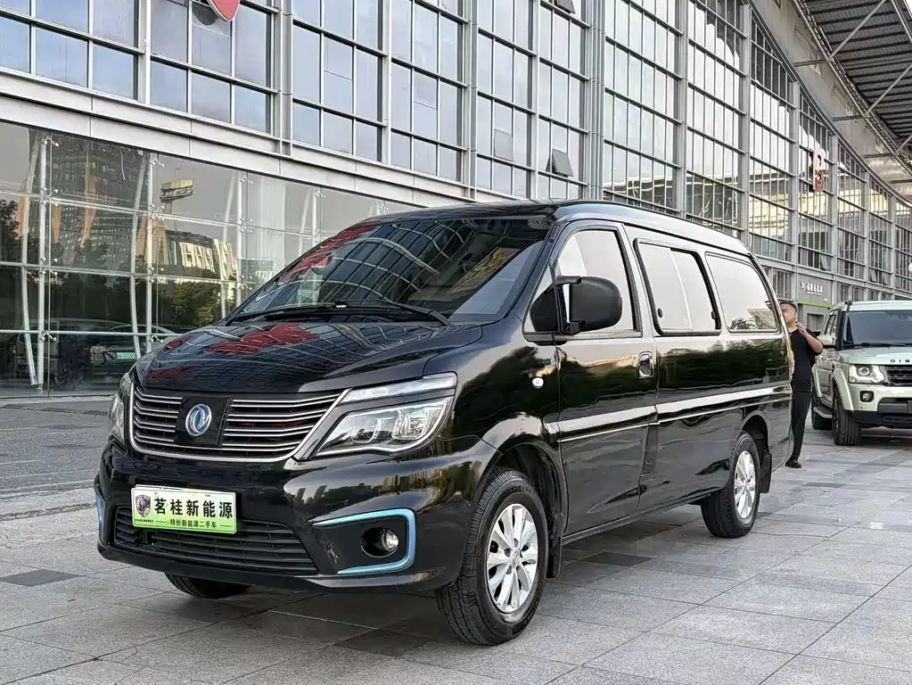 Dongfeng Lingzhi New Energy 2021