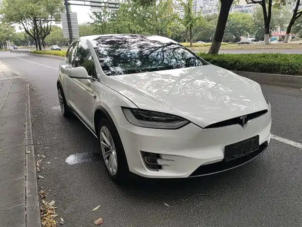 Tesla Model X 2019