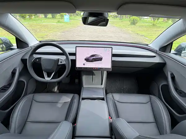 Tesla Model 3 2025