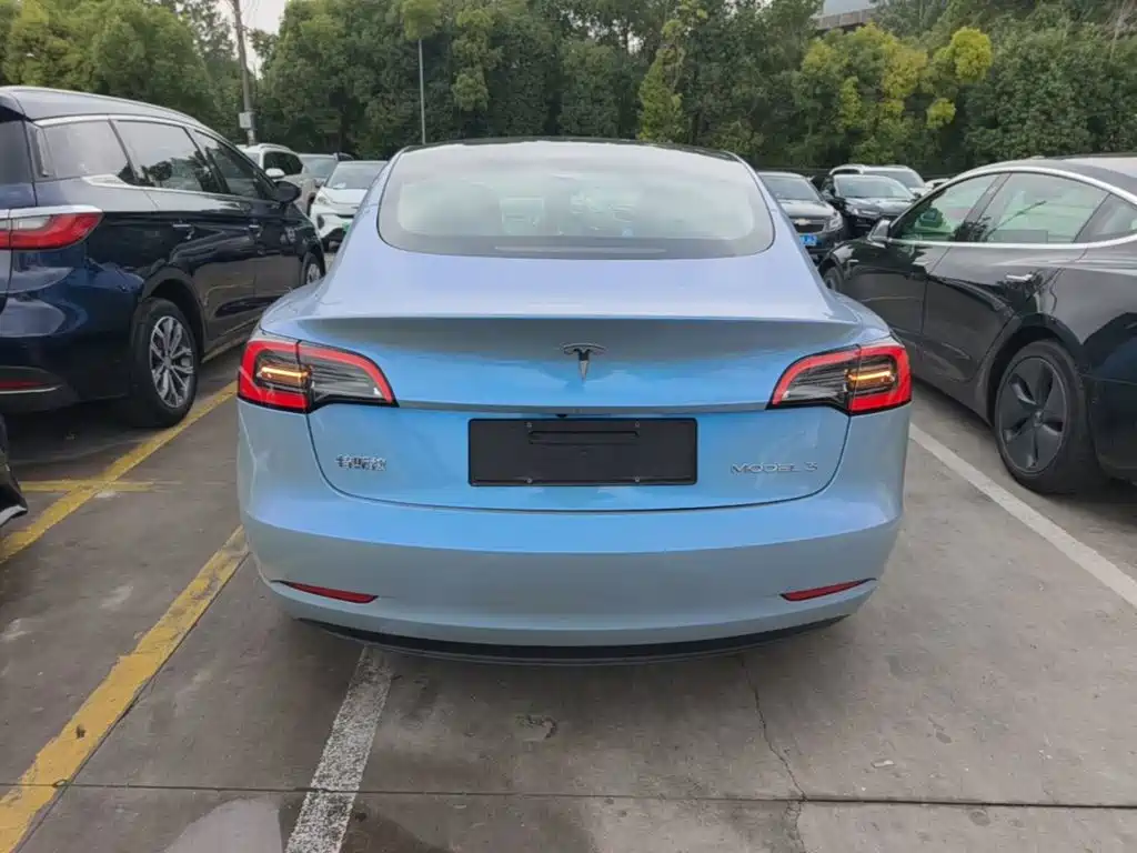 Tesla Model 3 2022