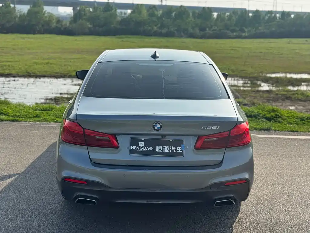 BMW 5 Series 2019 — фото 13