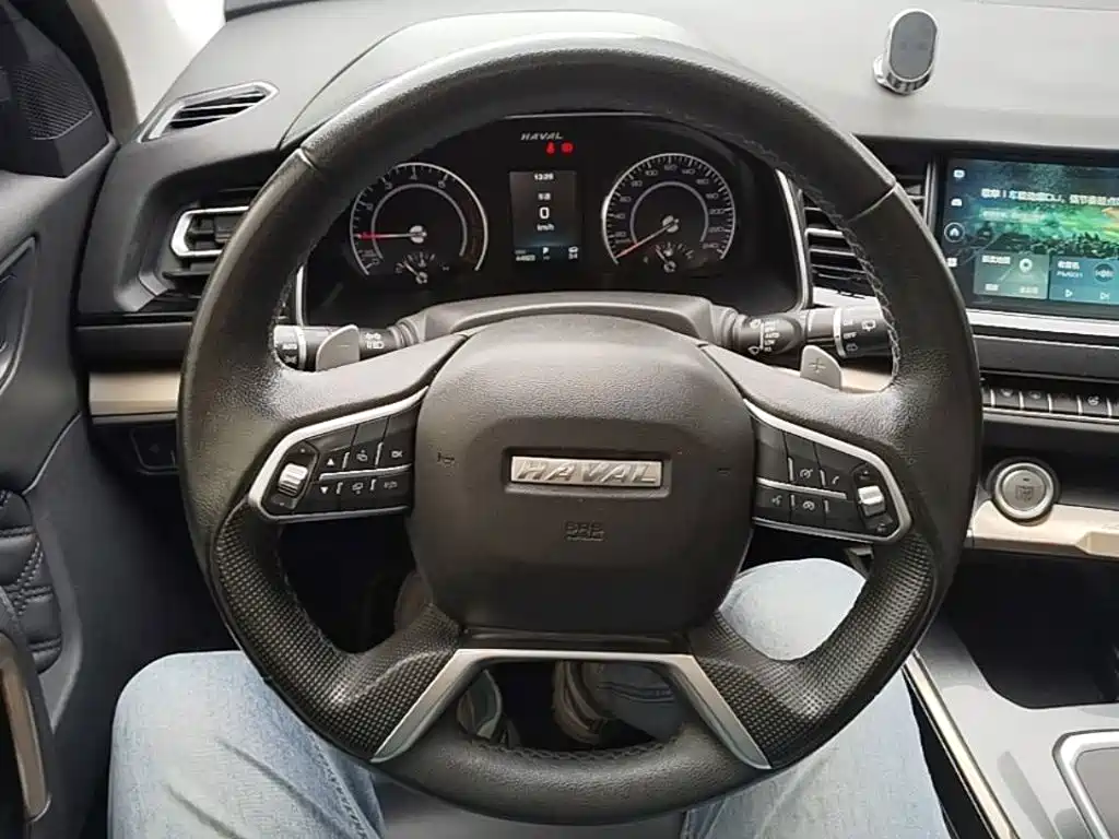 Haval H6 2019 — фото 11