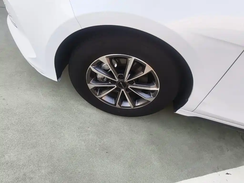 BYD Destroyer 05 2024 — фото 23
