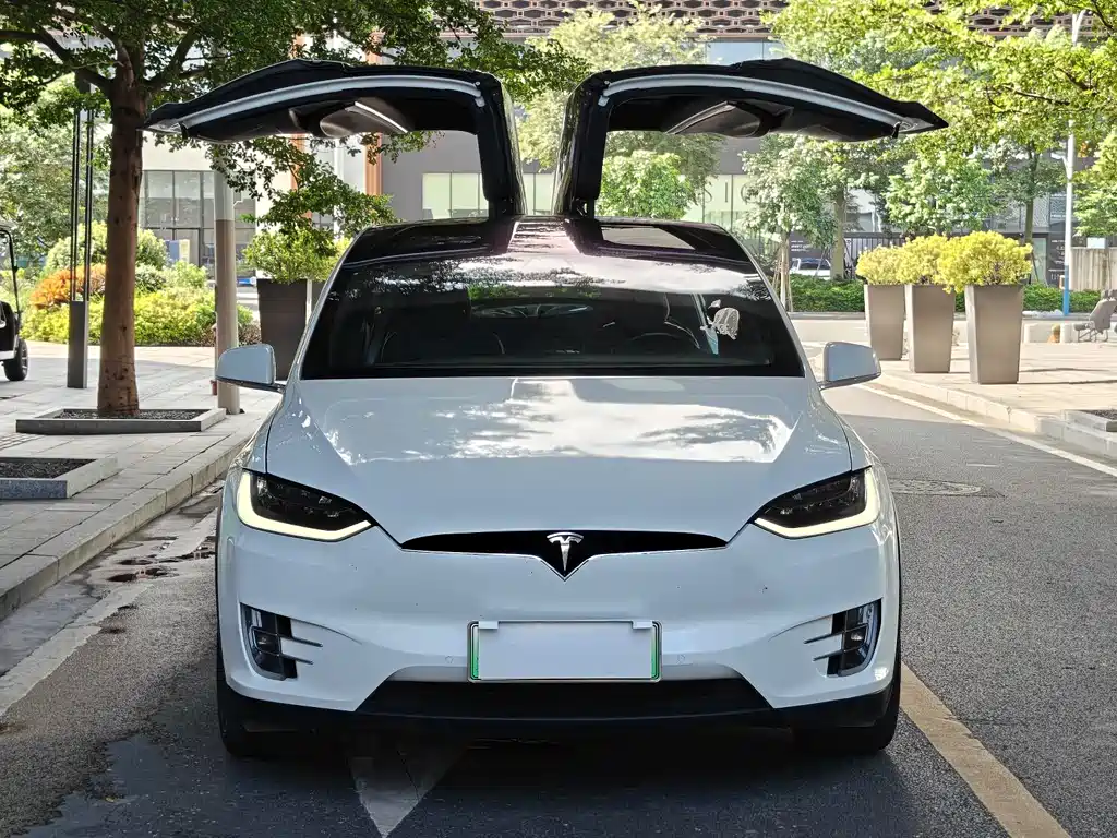 Tesla Model X 2017 — фото 2