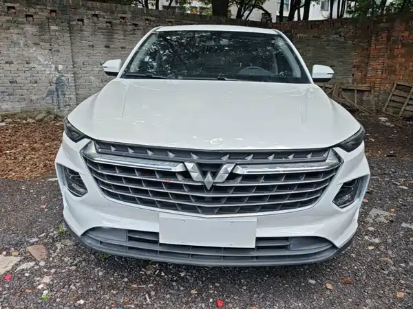 Wuling Victory 2022