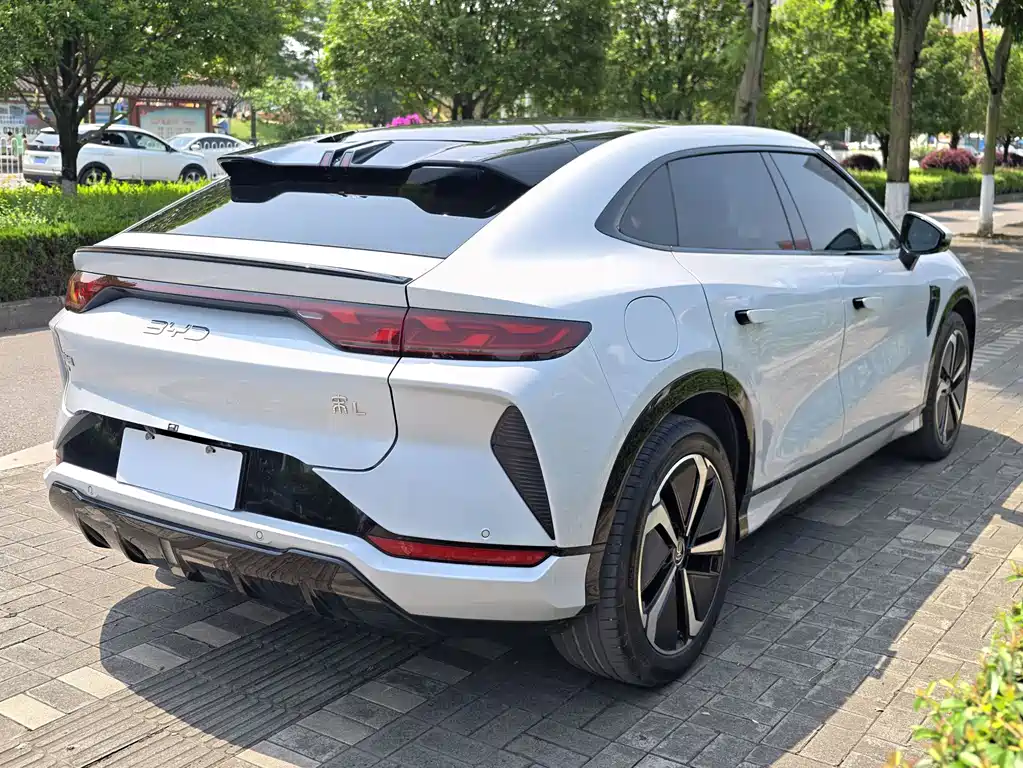 BYD Song L EV 2025 — фото 16