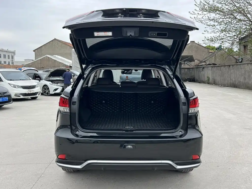 Lexus RX 2020 — фото 15