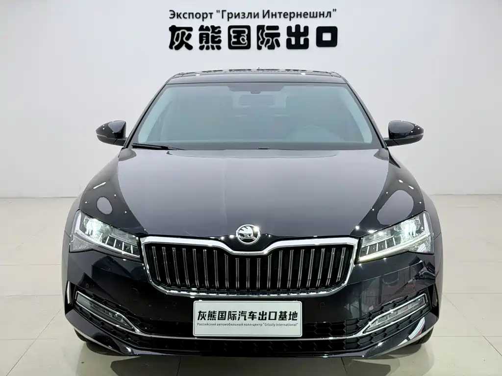 Skoda Speedy 2024