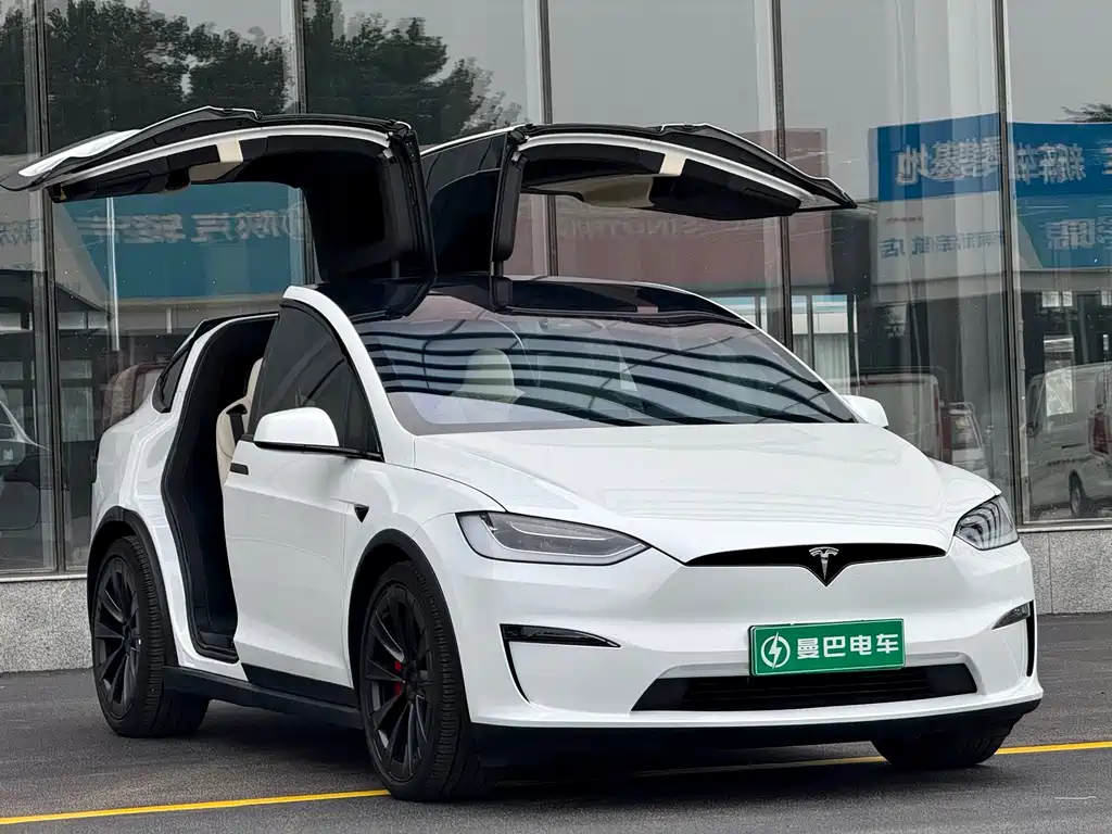 Tesla Model X 2024 — фото 8