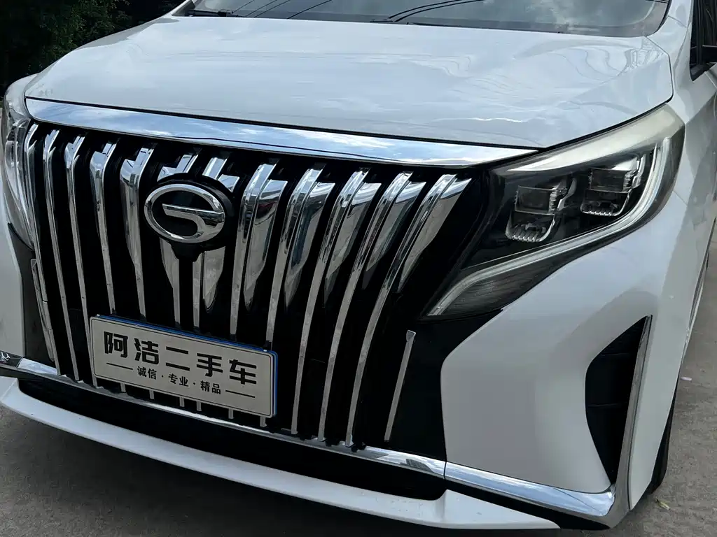 GAC Motor Trumpchi M8 2021 — фото 30