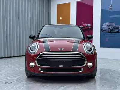 MINI MINI 2019