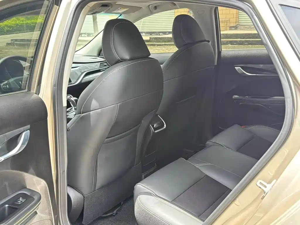 Geely Binrui 2021