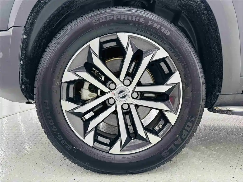 Haval Big Dog 2022 — фото 10
