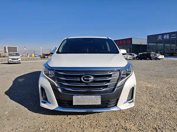 GAC Trumpchi M8 2020