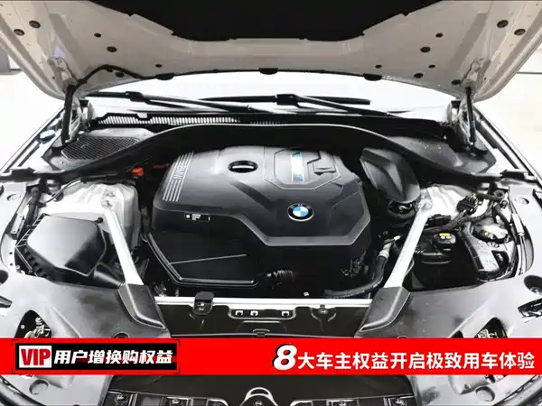 BMW 5 Series New Energy 2022