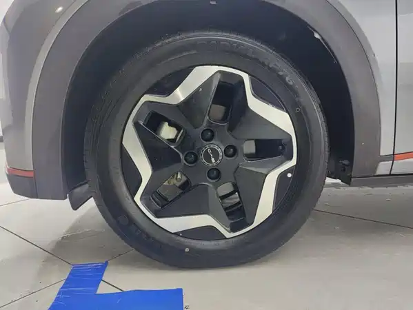 BYD Dolphin 2022