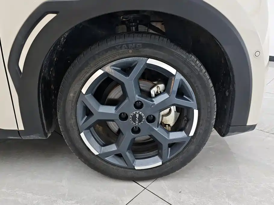 BYD Seagull 2025