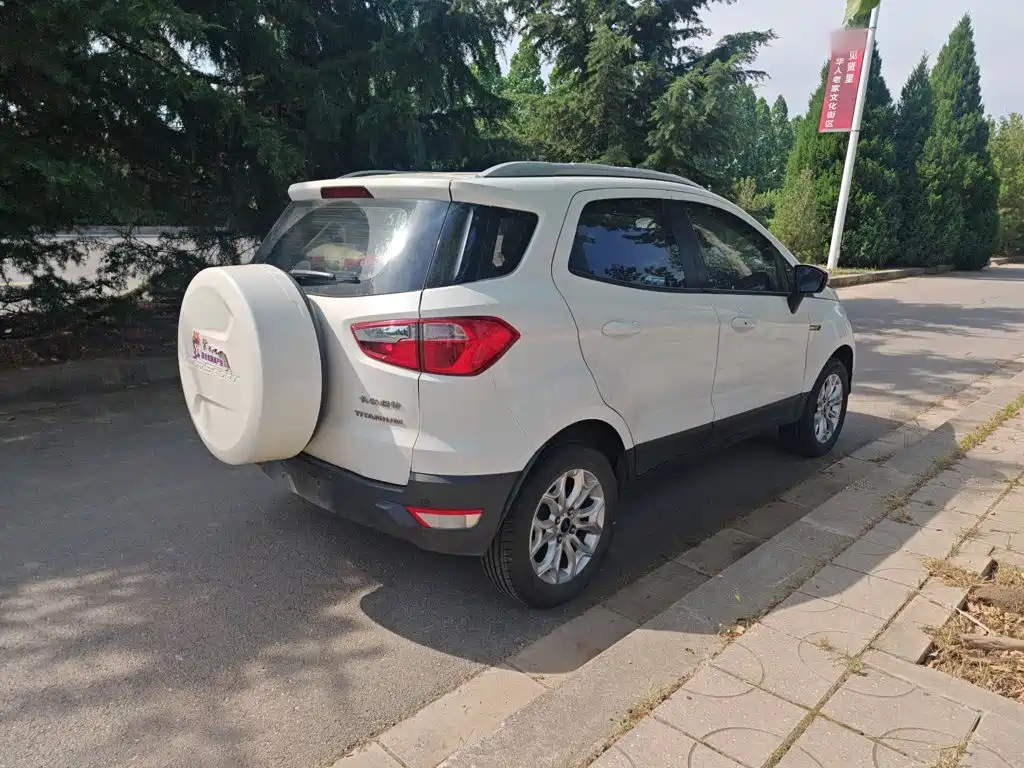 Ford Ecosport 2014 — фото 12