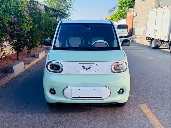 Wuling Hongguang MINIEV 2024