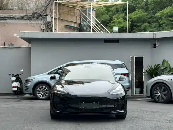 Tesla Model 3 2020
