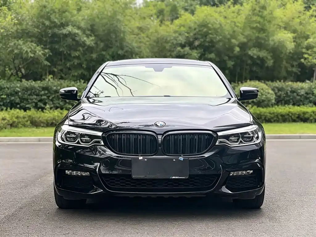 BMW 5 Series 2018 — фото 2