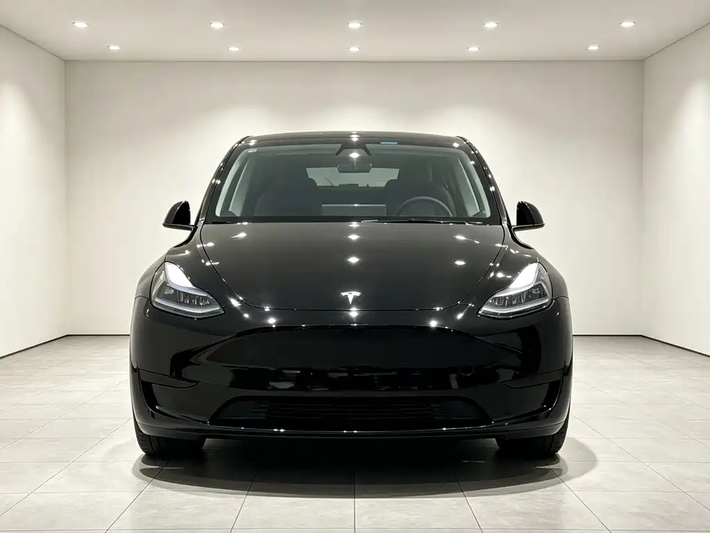 Tesla Model Y 2023 — фото 2