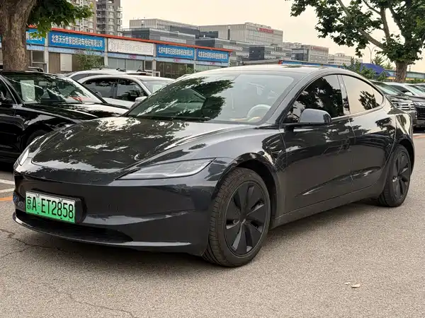 Tesla Model 3 2025