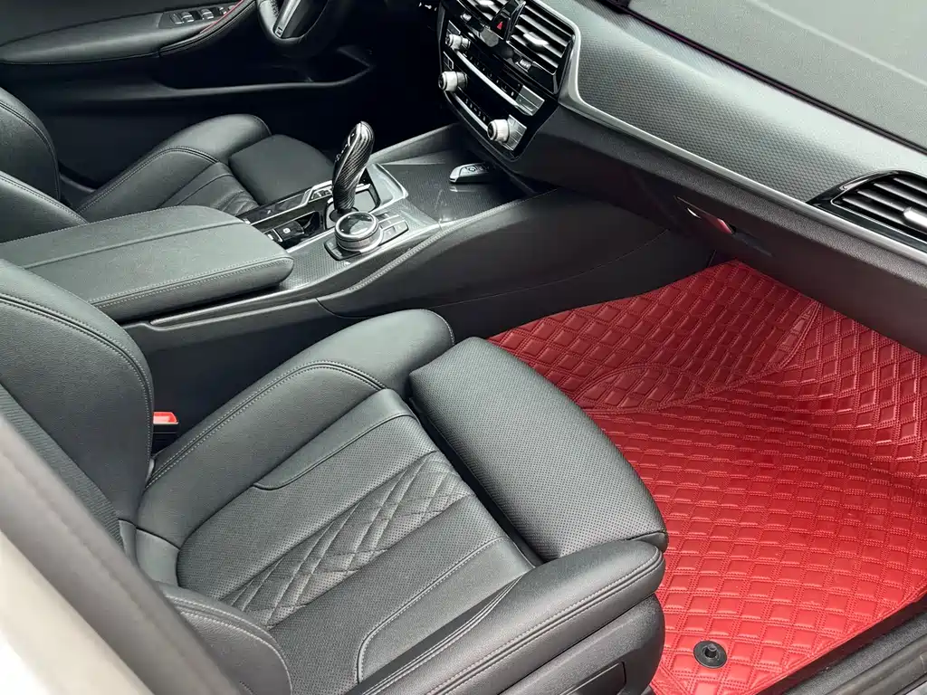 BMW 5 Series 2021