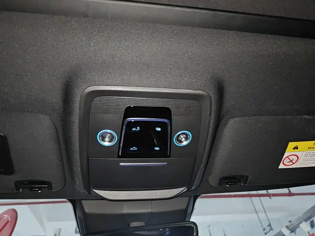BYD PLUS New Energy 2023 — фото 18