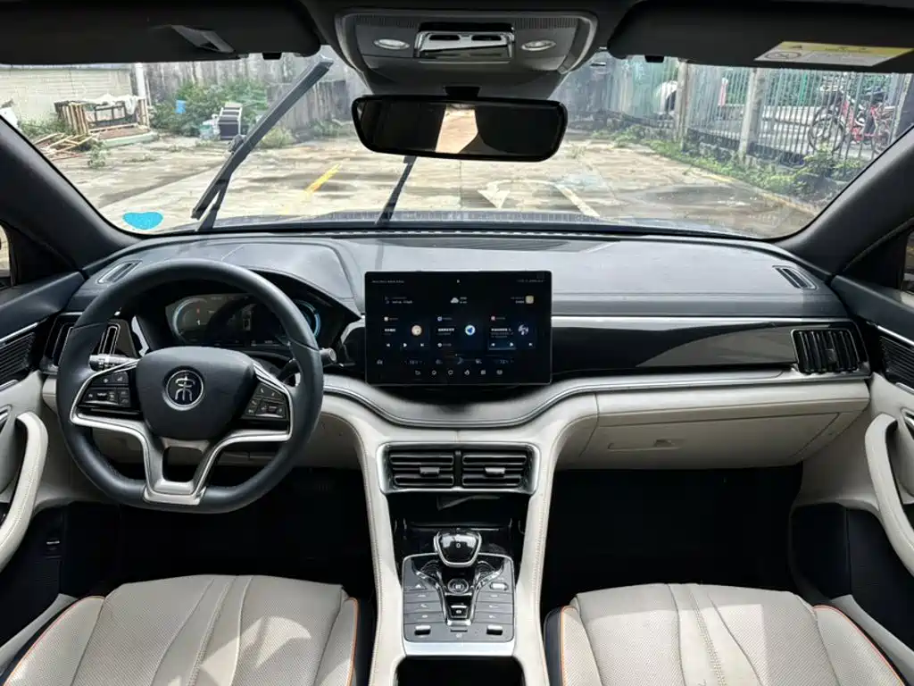 BYD Song PLUS New Energy 2021 — фото 11