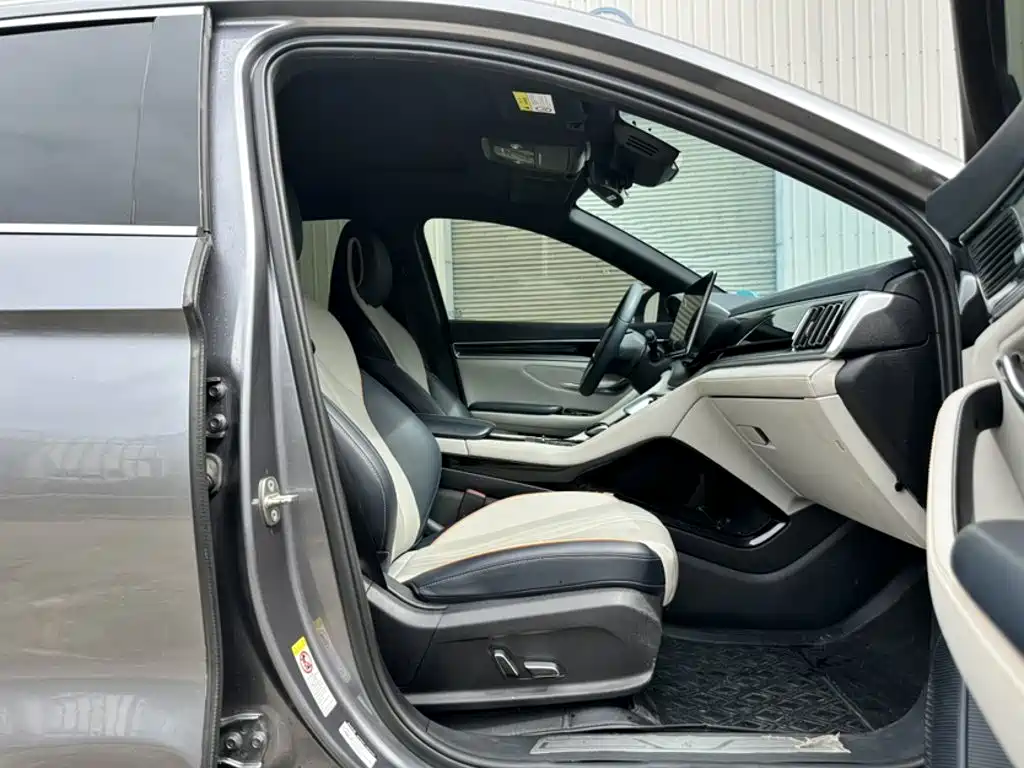 BYD Song PLUS New Energy 2021 — фото 13