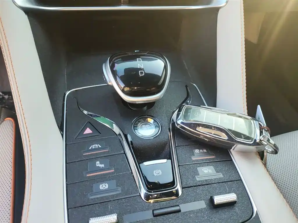 BYD PLUS New Energy 2023 — фото 14