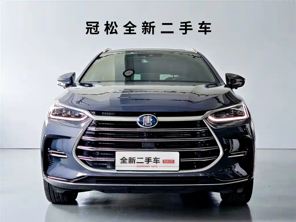 BYD Tang New Energy 2021 — фото 2