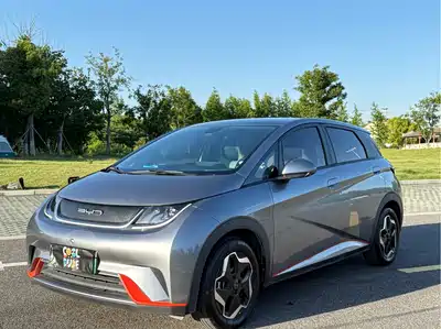 BYD Dolphin 2021