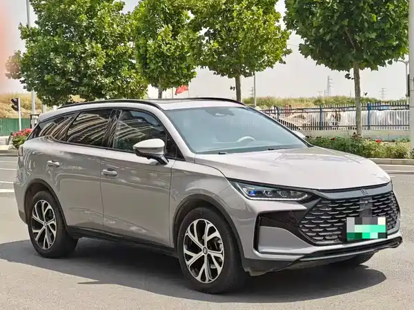 BYD Tang New Energy 2025