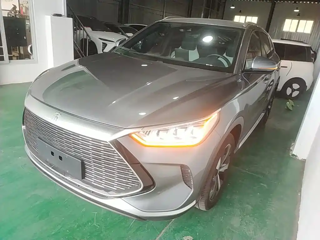 BYD PLUS New Energy 2022 — фото 2