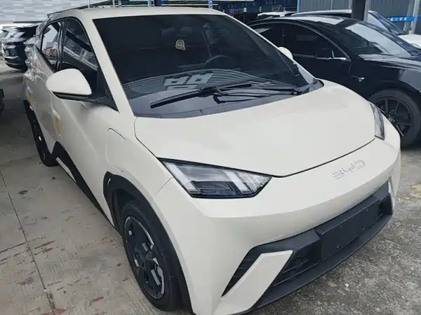 BYD Seagull 2024