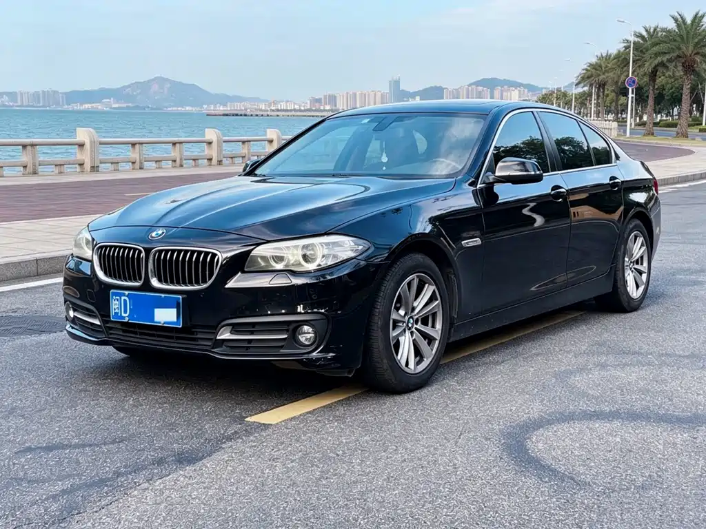 BMW 5 Series 2015