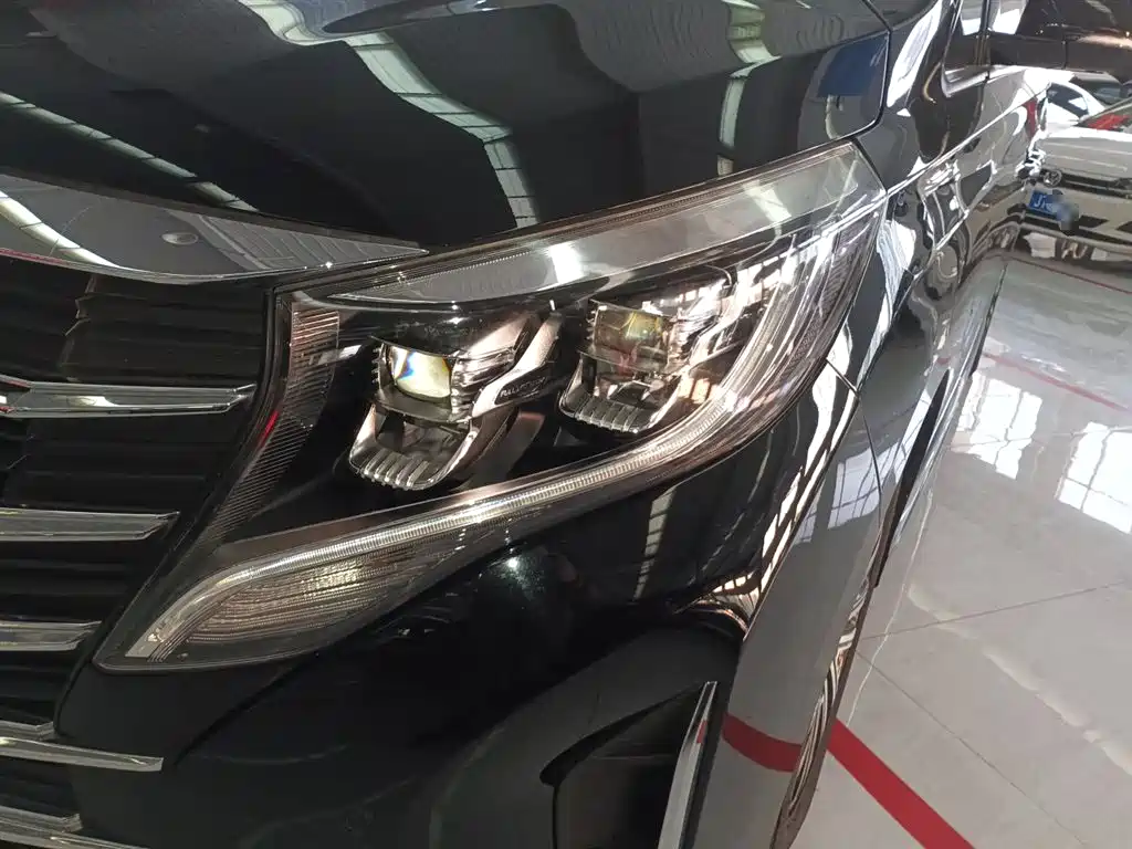 GAC Motor Trumpchi M8 2021 — фото 23