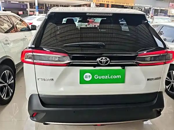 Toyota Wildlander 2020