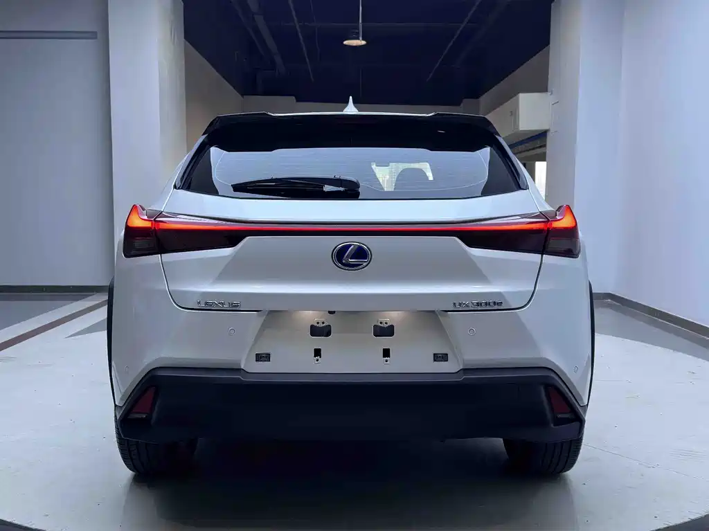 Lexus UX New Energy 2021 — фото 6