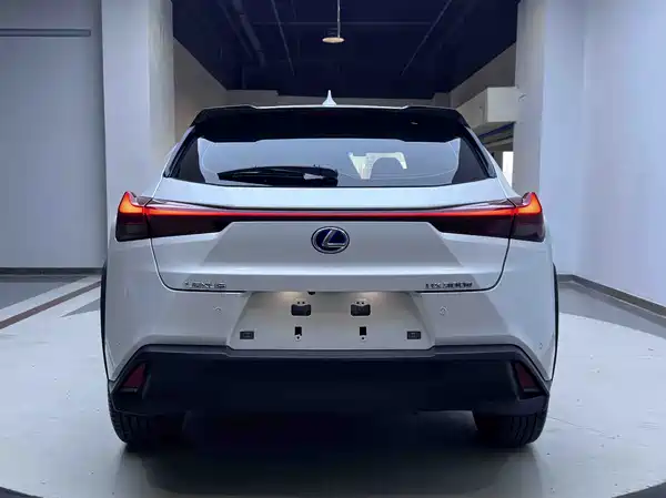 Lexus UX New Energy 2021