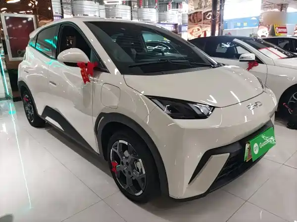 BYD Seagull 2024