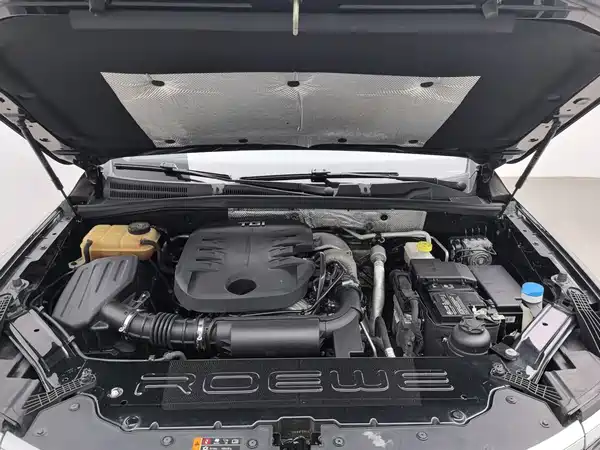 Roewe RX8 2019