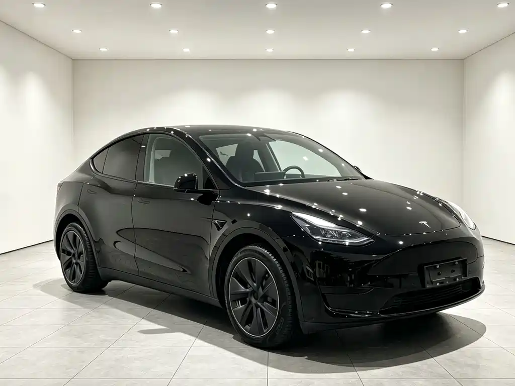 Tesla Model Y 2023 — фото 1