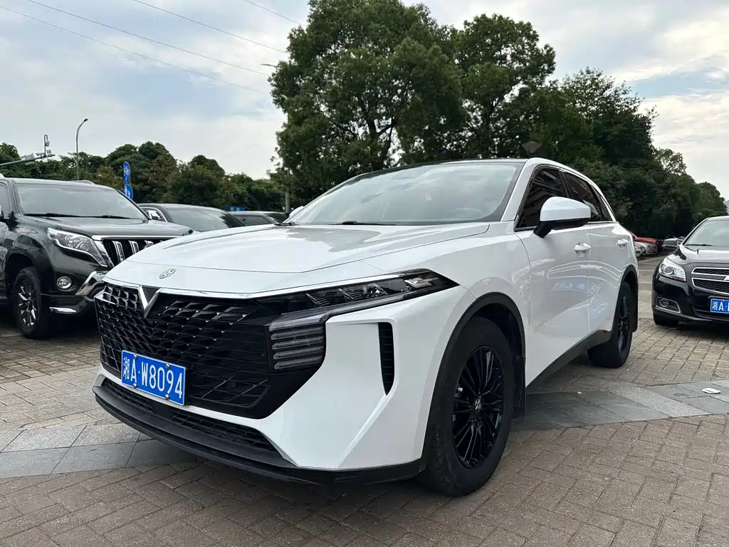 Venucia V 2021