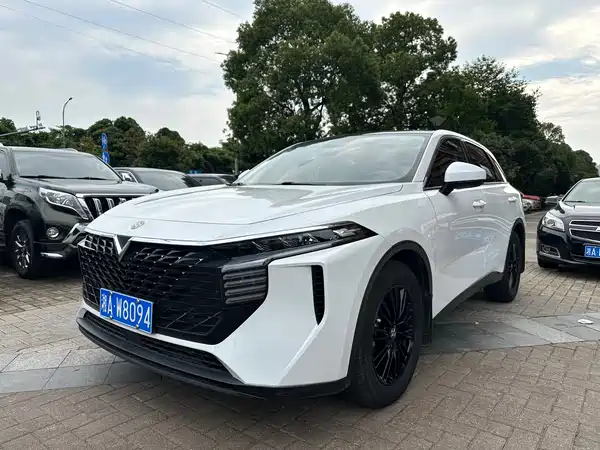 Venucia Big V 2022