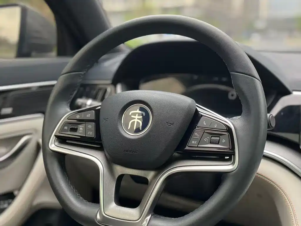 BYD PLUS New Energy 2022 — фото 12