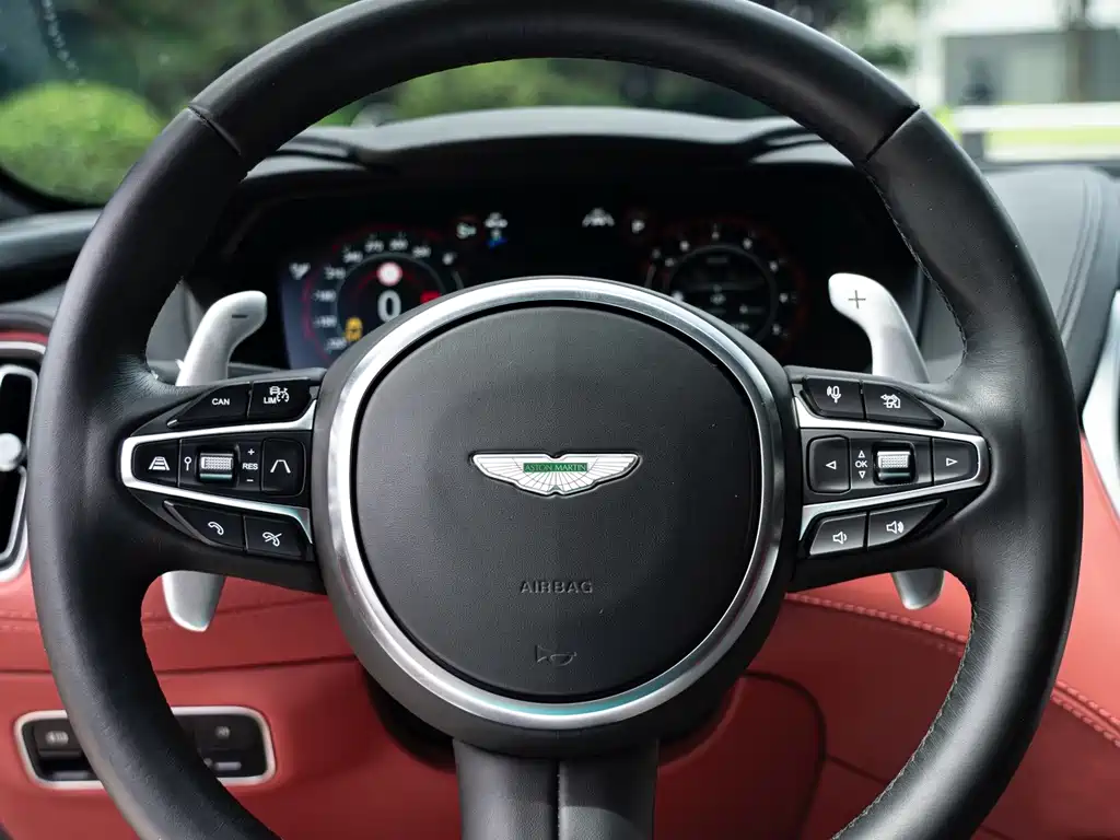 Aston Martin DBX 2023 — фото 9